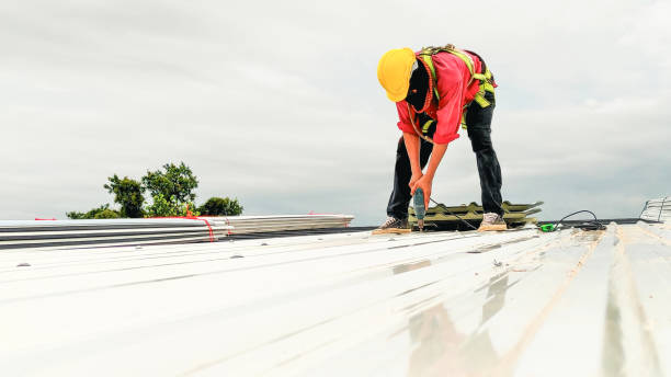 Best Solar Panel Roofing Installation  in Bowmanstown, PA